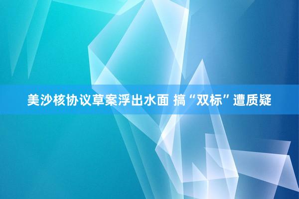 美沙核协议草案浮出水面 搞“双标”遭质疑