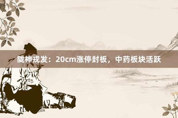 陇神戎发：20cm涨停封板，中药板块活跃