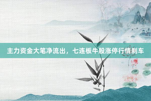 主力资金大笔净流出，七连板牛股涨停行情刹车