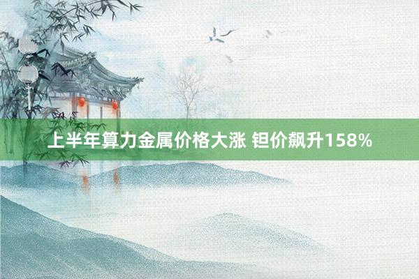 上半年算力金属价格大涨 钽价飙升158%