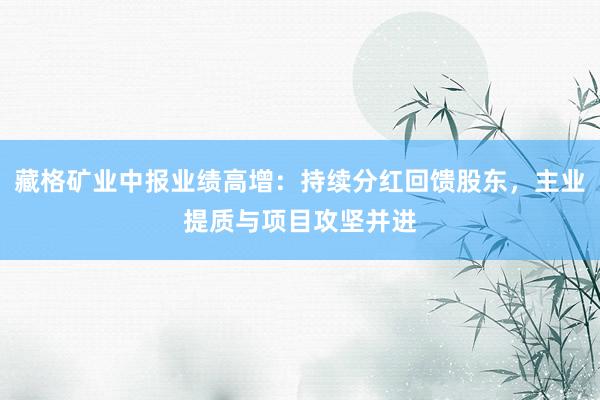 藏格矿业中报业绩高增：持续分红回馈股东，主业提质与项目攻坚并进