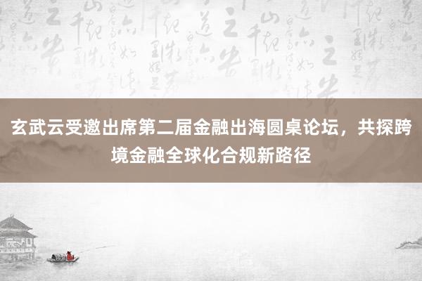 玄武云受邀出席第二届金融出海圆桌论坛，共探跨境金融全球化合规新路径