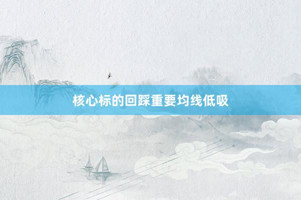 核心标的回踩重要均线低吸