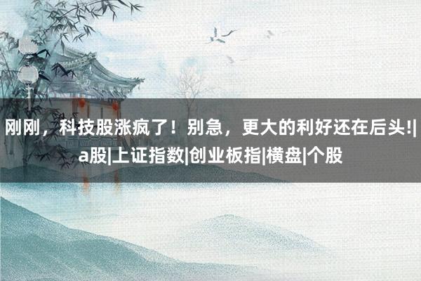 刚刚，科技股涨疯了！别急，更大的利好还在后头!|a股|上证指数|创业板指|横盘|个股