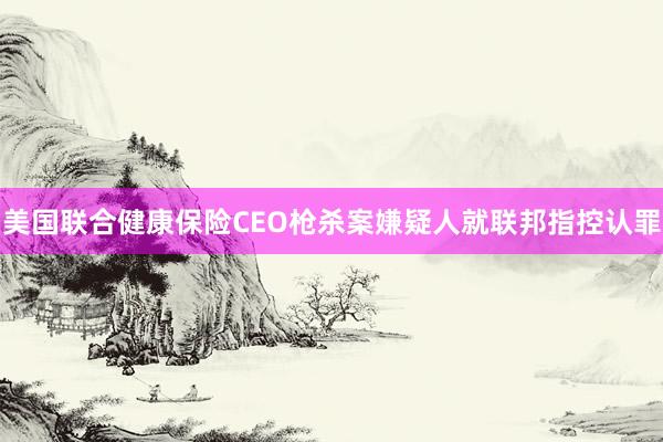 美国联合健康保险CEO枪杀案嫌疑人就联邦指控认罪