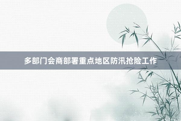 多部门会商部署重点地区防汛抢险工作