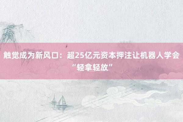 触觉成为新风口:超25亿元资本押注让机器人学会“轻拿轻放”