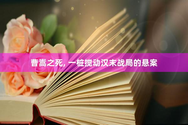 曹嵩之死, 一桩搅动汉末战局的悬案