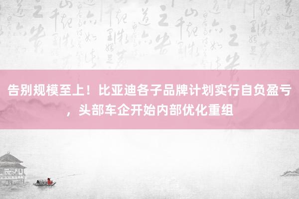 告别规模至上！比亚迪各子品牌计划实行自负盈亏，头部车企开始内部优化重组