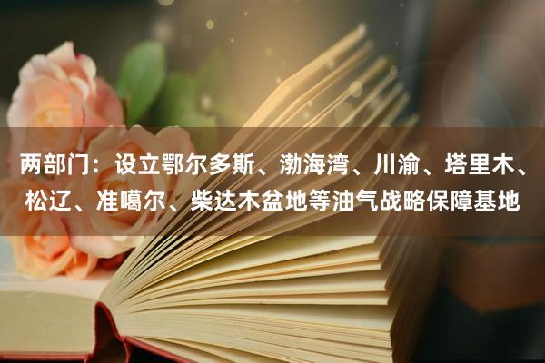 两部门：设立鄂尔多斯、渤海湾、川渝、塔里木、松辽、准噶尔、柴达木盆地等油气战略保障基地