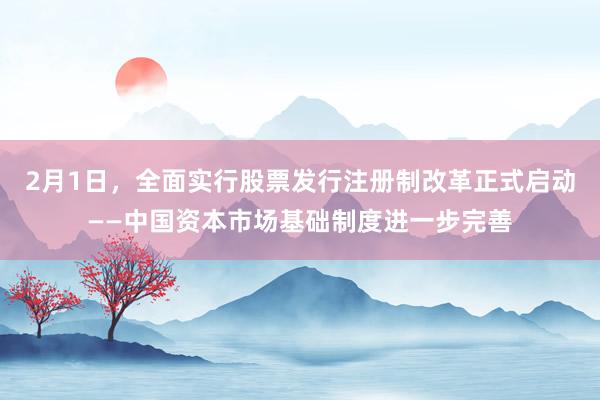 2月1日，全面实行股票发行注册制改革正式启动——中国资本市场基础制度进一步完善