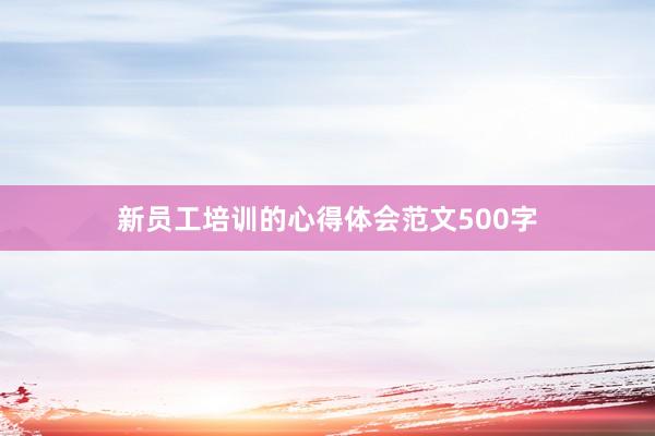 新员工培训的心得体会范文500字