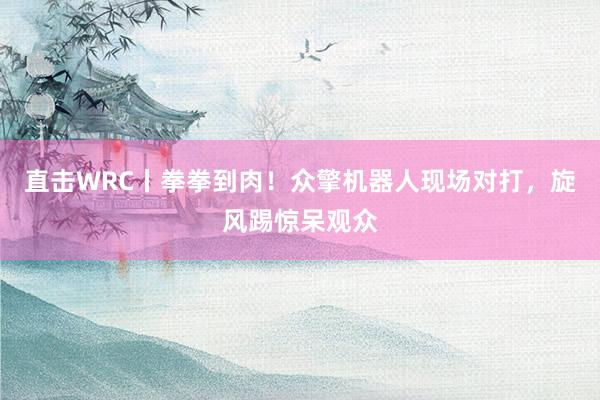 直击WRC丨拳拳到肉！众擎机器人现场对打，旋风踢惊呆观众