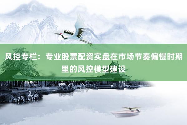 风控专栏：专业股票配资实盘在市场节奏偏慢时期里的风控模型建设