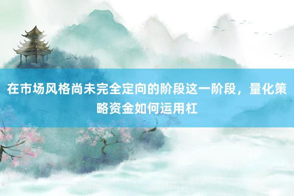 在市场风格尚未完全定向的阶段这一阶段，量化策略资金如何运用杠