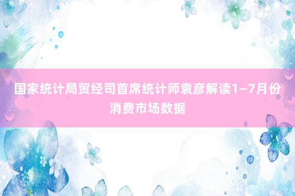 国家统计局贸经司首席统计师袁彦解读1—7月份消费市场数据