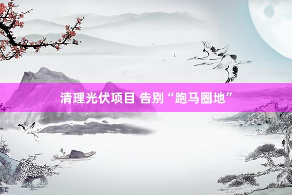 清理光伏项目 告别“跑马圈地”