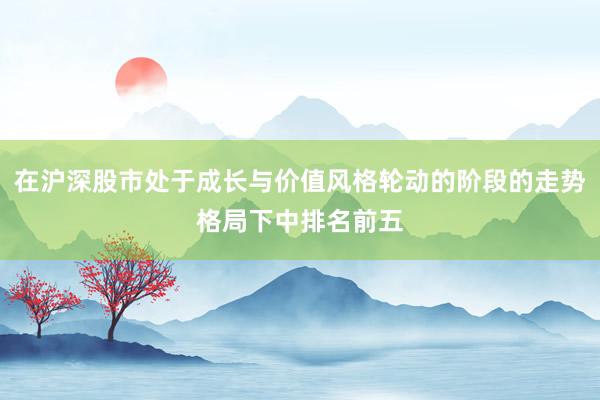 在沪深股市处于成长与价值风格轮动的阶段的走势格局下中排名前五