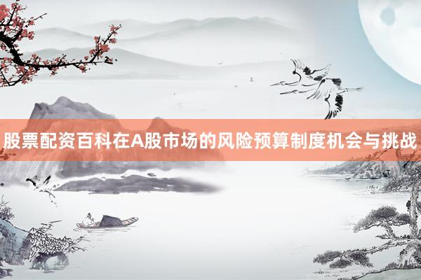 股票配资百科在A股市场的风险预算制度机会与挑战