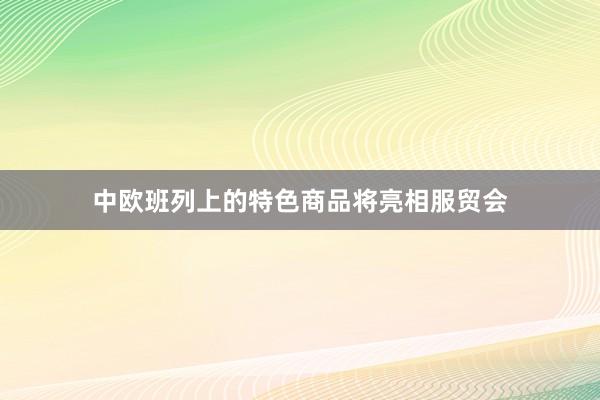 中欧班列上的特色商品将亮相服贸会