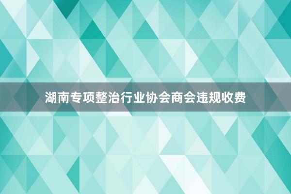 湖南专项整治行业协会商会违规收费