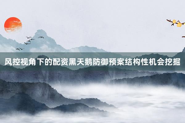 风控视角下的配资黑天鹅防御预案结构性机会挖掘