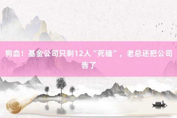 狗血！基金公司只剩12人“死磕”，老总还把公司告了