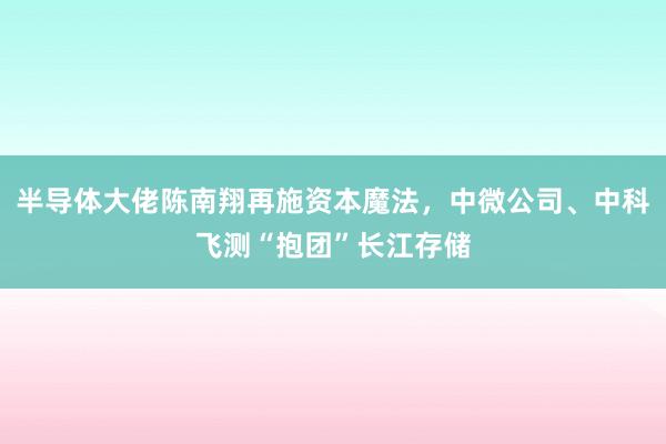 半导体大佬陈南翔再施资本魔法，中微公司、中科飞测“抱团”长江存储
