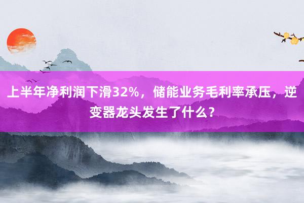 上半年净利润下滑32%，储能业务毛利率承压，逆变器龙头发生了什么？