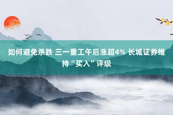 如何避免杀跌 三一重工午后涨超4% 长城证券维持“买入”评级