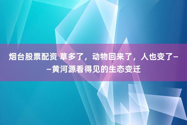 烟台股票配资 草多了，动物回来了，人也变了——黄河源看得见的生态变迁