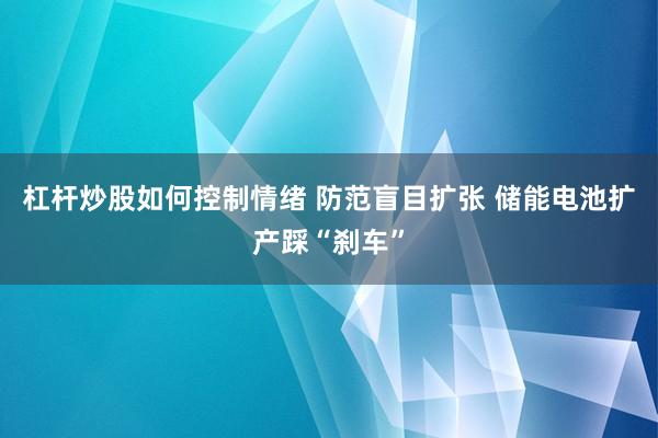 杠杆炒股如何控制情绪 防范盲目扩张 储能电池扩产踩“刹车”