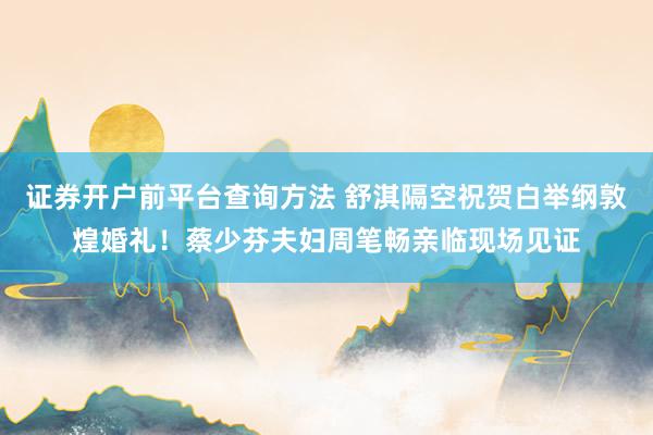 证券开户前平台查询方法 舒淇隔空祝贺白举纲敦煌婚礼！蔡少芬夫妇周笔畅亲临现场见证