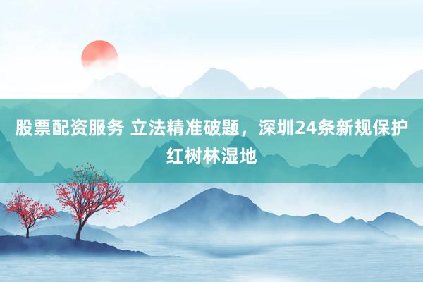 股票配资服务 立法精准破题，深圳24条新规保护红树林湿地