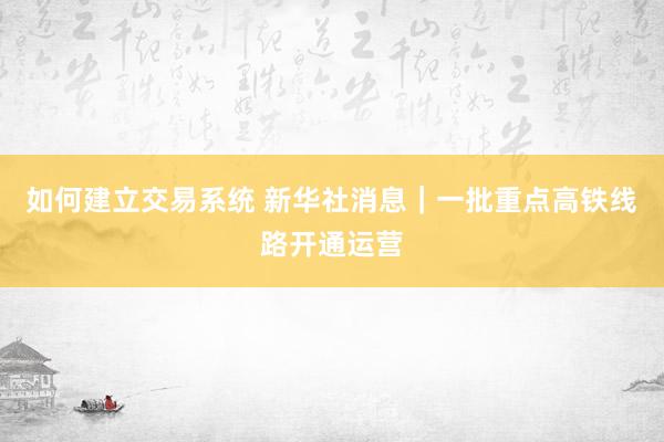 如何建立交易系统 新华社消息｜一批重点高铁线路开通运营