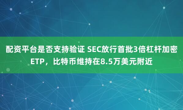 配资平台是否支持验证 SEC放行首批3倍杠杆加密ETP，比特币维持在8.5万美元附近
