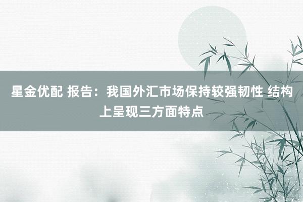 星金优配 报告：我国外汇市场保持较强韧性 结构上呈现三方面特点