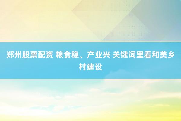 郑州股票配资 粮食稳、产业兴 关键词里看和美乡村建设