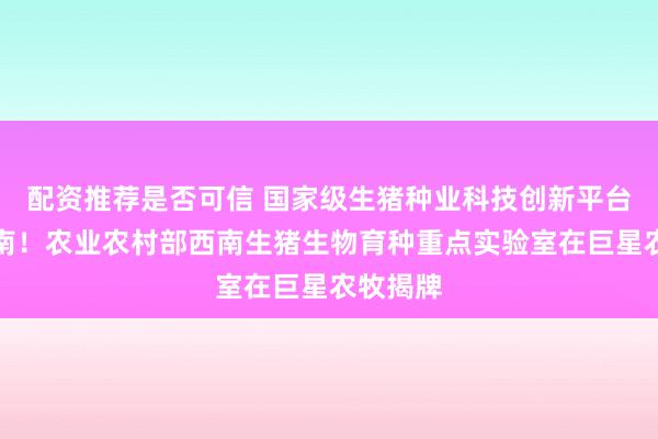 配资推荐是否可信 国家级生猪种业科技创新平台落子西南！农业农村部西南生猪生物育种重点实验室在巨星农牧揭牌