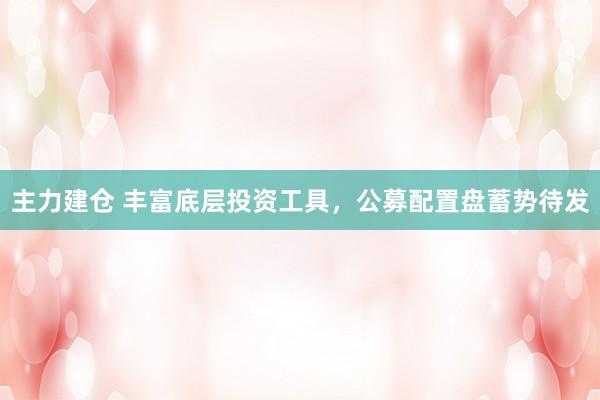 主力建仓 丰富底层投资工具,公募配置盘蓄势待发