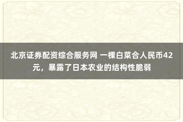 北京证券配资综合服务网 一棵白菜合人民币42元，暴露了日本农业的结构性脆弱
