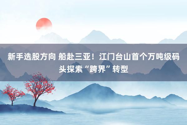 新手选股方向 船赴三亚！江门台山首个万吨级码头探索“跨界”转型